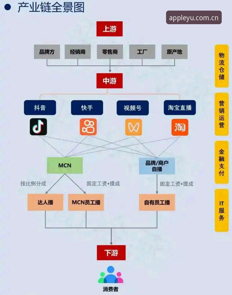 灵感简于一行直播平台替代 灵感简于一行与直播平台替代的过去、现在、未来:乐鱼体育用户可曾误入歧途?